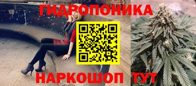 прущие крисы Обь