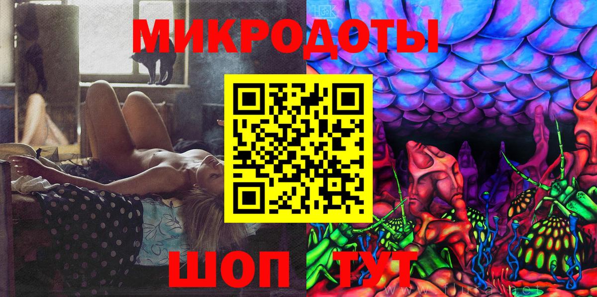Галлюциногенные грибы Psilocybe Саранск