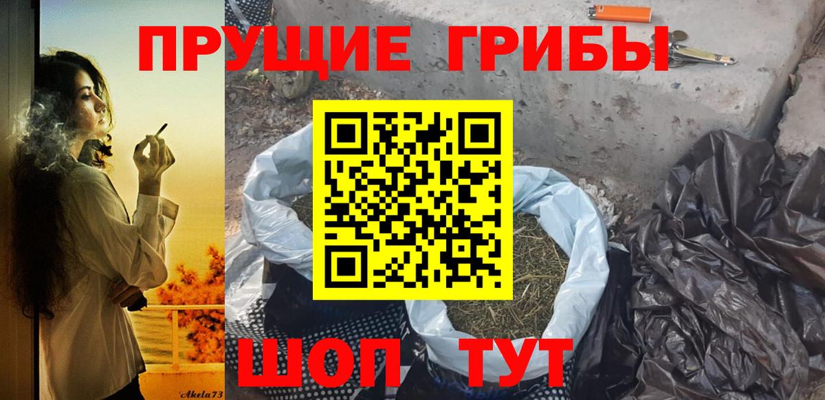 Саранск  Псилоцибиновые грибы мухоморы  Вход с VPN  Псилоцибиновые грибы мухоморы 